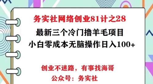 务实社网创81之26：外面卖998三个撸羊毛暴力项目，小白零基础照抄日入300+（附软件） 