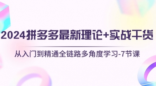 2024拼多多 最新理论+实战干货，从入门到精通全链路多角度学习-7节课