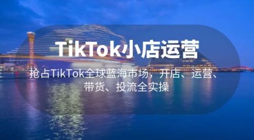 TikTok小店运营 抢占TikTok全球蓝海市场，开店、运营、带货、投流全实操 