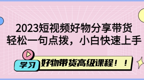 2023短视频好物分享带货，好物带货高级课程，轻松一句点拨，小白快速上手 