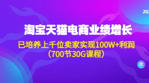 淘系天猫电商业绩增长：已培养上千位卖家实现100W+利润（700节30G课程） 