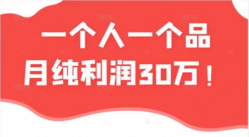 一个人一个品月纯利润30万的蓝海电商经典案例！