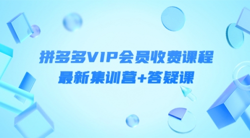 某社群·拼多多VIP会员收费课程，最新集训营+答疑课-价值3000+ 