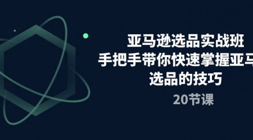 亚马逊选品实战班，手把手带你快速掌握亚马逊选品的技巧（20节课）