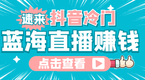 最新抖音冷门简单的蓝海直播赚钱玩法，流量大知道的人少，可做到全无人直播 