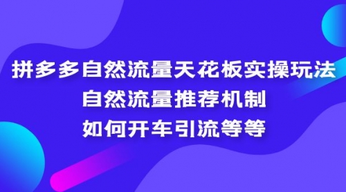 拼多多自然流量天花板实操玩法：自然流量推荐机制，如何开车引流等等 