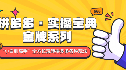 拼多多·实操宝典：金牌系列“小白到高手”带你全方位玩转拼多多各种玩法