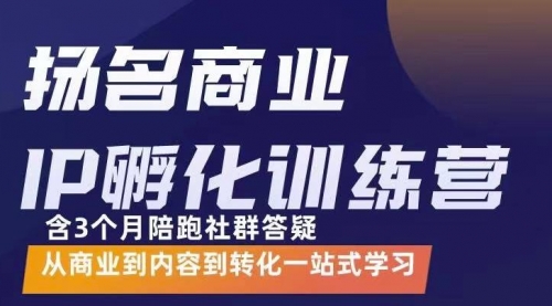 商业IP孵化训练营，从商业到内容到转化一站式学 价值5980元