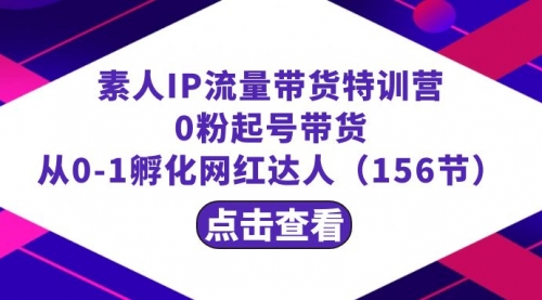 繁星·计划素人IP流量带货特训营：0粉起号带货 从0-1孵化网红达人（156节）