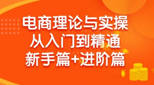 电商理论与实操从入门到精通：抖店+淘系+多多，新手篇+进阶篇