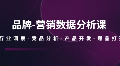 品牌-营销数据分析课，行业洞察-竞品分析-产品开发-爆品打造 