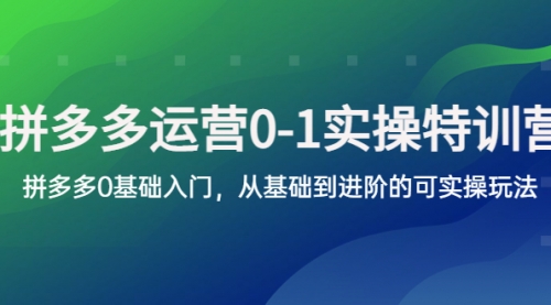 拼多多-运营0-1实操训练营，拼多多0基础入门，从基础到进阶的可实操玩法 