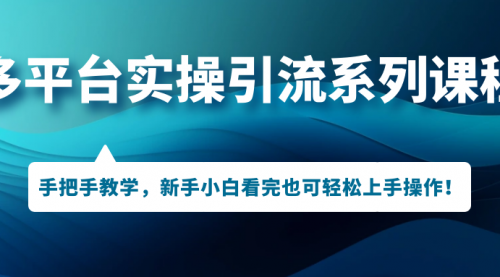 多平台实操引流系列课程，手把手教学，新手小白看完也可轻松上手引流操作！