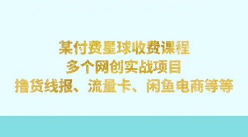 某付费星球课程：多个网创实战项目，撸货线报、流量卡、闲鱼电商等等