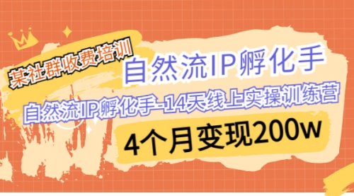 自然流IP孵化手-14天线上实操训练营 4个月变现200w