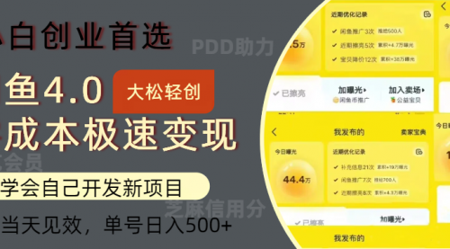 闲鱼0成本极速变现项目，多种变现方式 单号日入500+