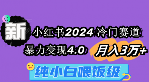 小红书2024冷门赛道 月入3万+ 暴力变现4.0 纯小白喂饭级