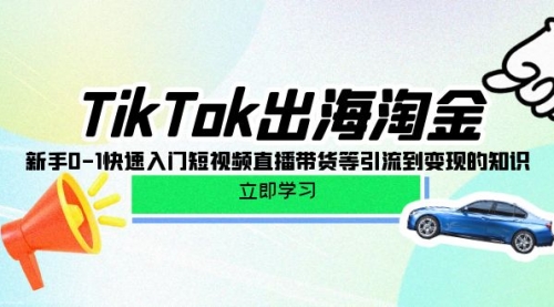 TikTok-出海淘金，新手0-1快速入门短视频直播带货等引流到变现的知识