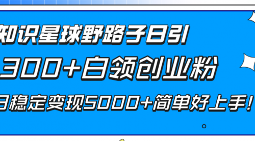 知识星球野路子日引300+白领创业粉