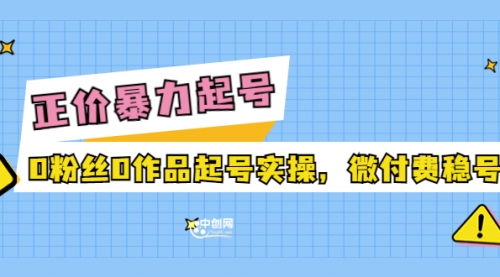 正价暴力起实操号：0粉丝0作品起号实操，微付费稳号（价值1980元） 