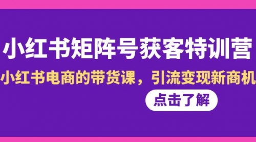 小红书-矩阵号获客特训营-第10期，小红书电商的带货课，引流变现新商机