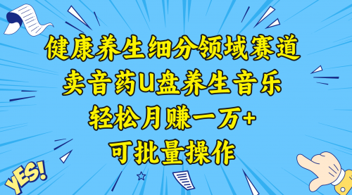 健康养生细分领域赛道，卖音药U盘养生音乐，轻松月赚一万+，可批量操作