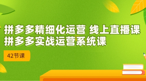 2023年8月新课-拼多多精细化运营