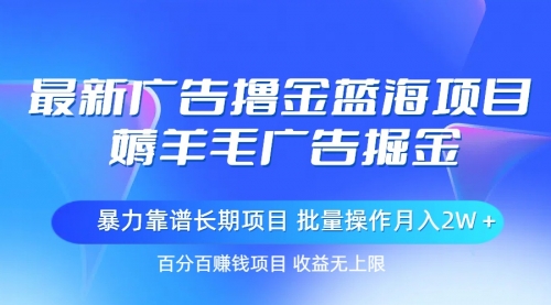 广告撸金蓝海项目，薅羊毛广告掘金 长期项目 批量操作月入2W＋