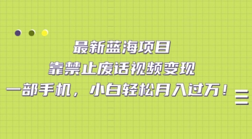 靠禁止废话视频变现，一部手机，小白轻松月入过万！