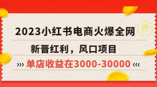 2023小红书电商火爆全网，新晋红利，风口项目，单店收益在3000-30000！ 