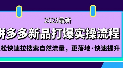 拼多多-新品打爆实操流程：轻松快速拉搜索自然流量，更落地·快速提升! 