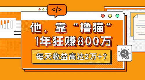 他，靠“撸猫”1年狂赚800万，每天收益高达2万+？