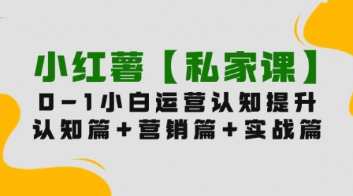 小红薯【私家课】0-1玩赚小红书内容营销，认知篇+营销篇+实战篇（11节课）