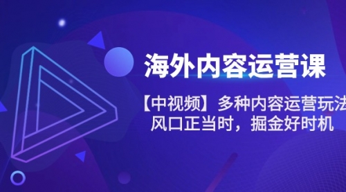 海外内容 运营课【中视频】多种内容运营玩法 风口正当时 掘金好时机-101节