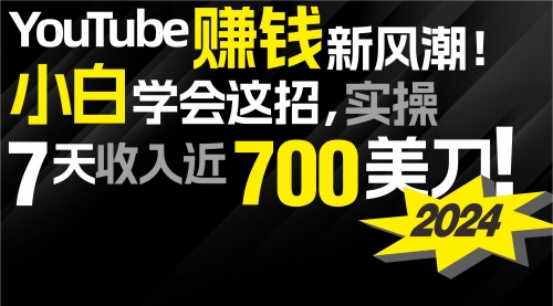 2024 YouTube赚钱新风潮！小白学会这招，7天收入近7百美金！