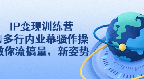 IP变现训练营：N多行内业幕骚作操，教你流搞量