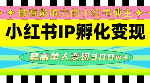 某收费培训-小红书IP孵化变现：做有影响力的小红书博主，最高单人 