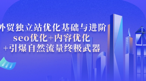 外贸独立站优化基础与进阶，seo优化+内容优化+引爆自然流量终极武器 