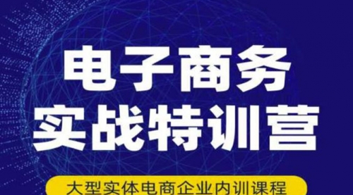 电子商务实战特训营，全方位带你入门电商，308种方式玩转电商