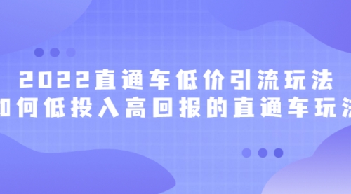 2022直通车低价引流玩法，教大家如何低投入高回报的直通车玩法