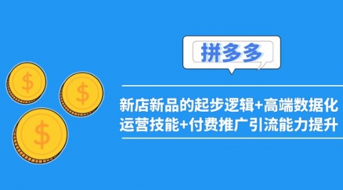 2022拼多多：新店新品的起步逻辑+高端数据化运营技能+付费推广引流能力提升 