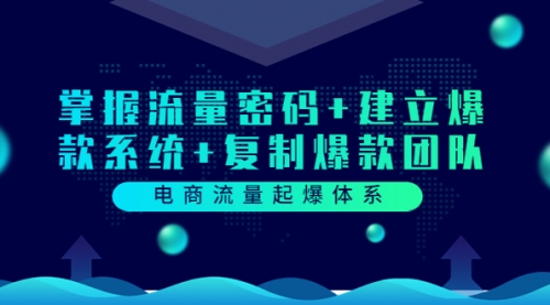 电商流量起爆体系：掌握流量密码+建立爆款系统+复制爆款团队（价值599） 