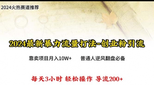 2024年最新暴力流量打法，每日导入300+，靠卖项目月入10W+