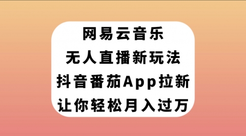 网易云音乐无人直播新玩法，抖音番茄APP拉新，让你轻松月入过万