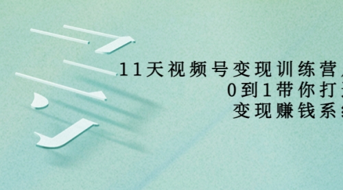 11天视频号变现训练营，从0到1打造变现赚钱系统 