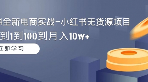 2024全新电商实战-小红书无货源项目：从0到1到100到月入10w+