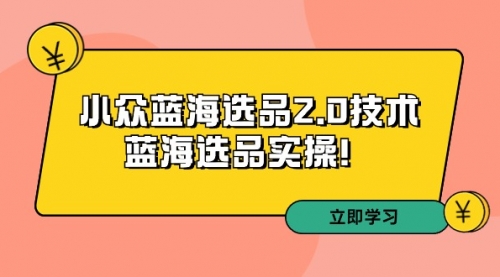 拼多多培训第33期：小众蓝海选品2.0技术-蓝海选品实操！