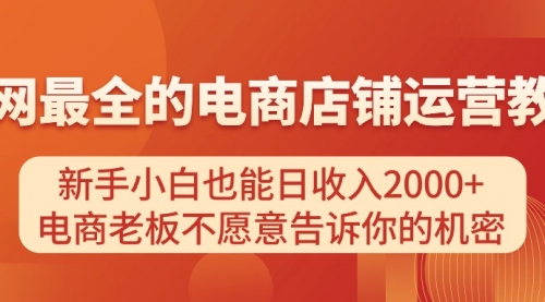 电商店铺运营教学，新手小白也能日收入2000+