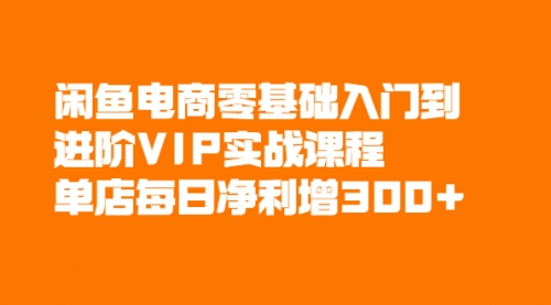 闲鱼电商零基础入门到进阶VIP实战课程，单店每日净利增300+