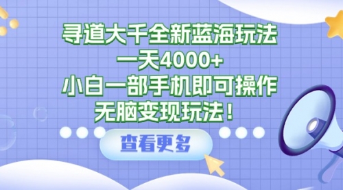 寻道大千全新蓝海玩法，一天4000+，小白一部手机即可操作